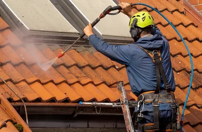 Démoussage et hydrofuge de toiture à Lamaguère